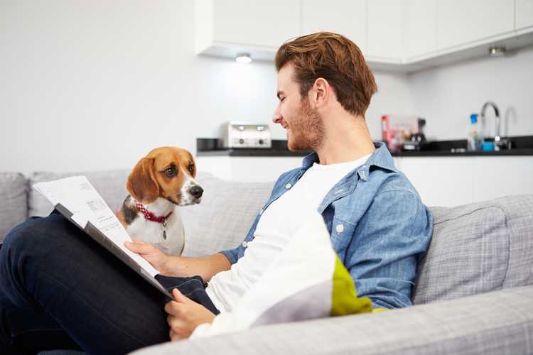 Spot Pet Insurance Review