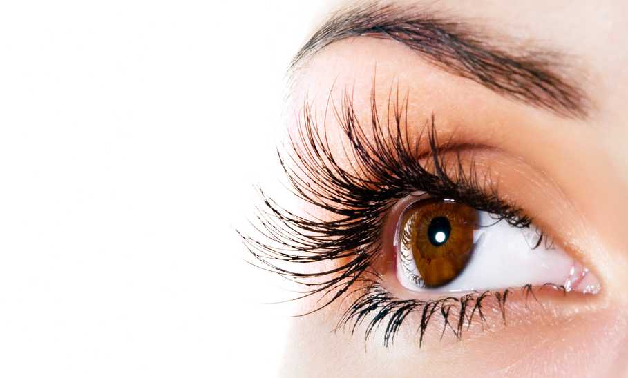 Woman brown eye with extremely long eyelashes